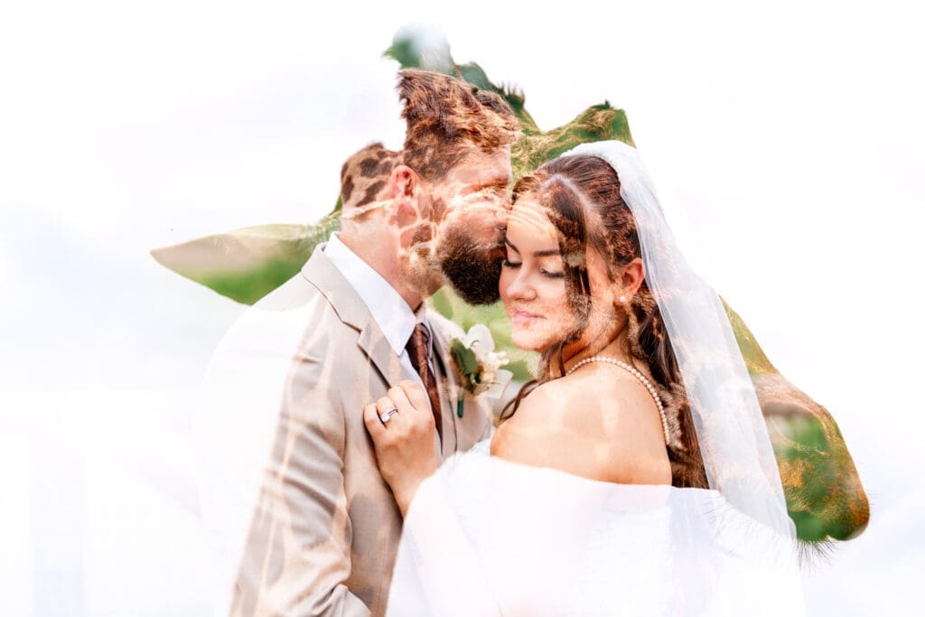 Creative double exposure of the couple framed by a giraffe at the Columbus Zoo and Aquarium