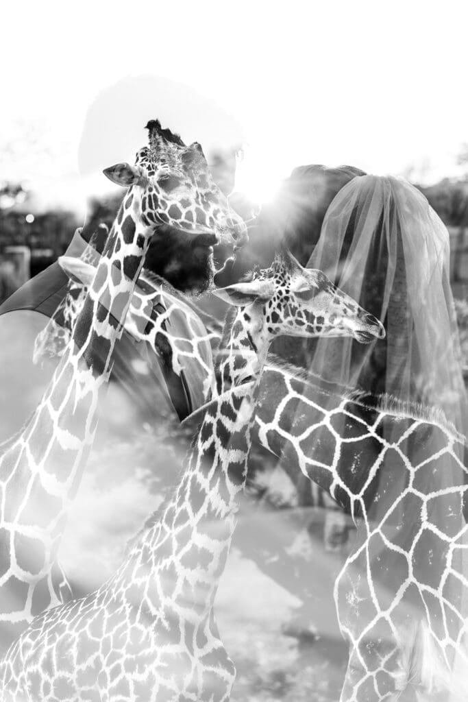 Creative double exposure at the Columbus Zoo and Aquarium