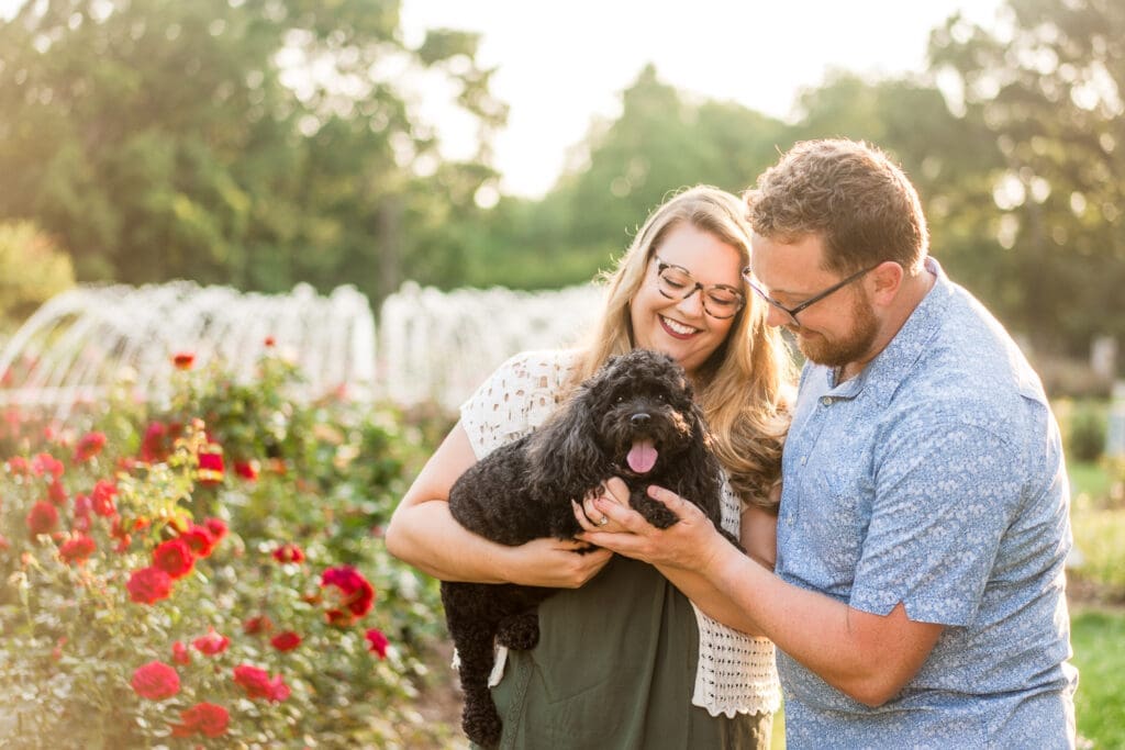 Golden hour engagement photos at the Columbus Park of Roses with their dog.
