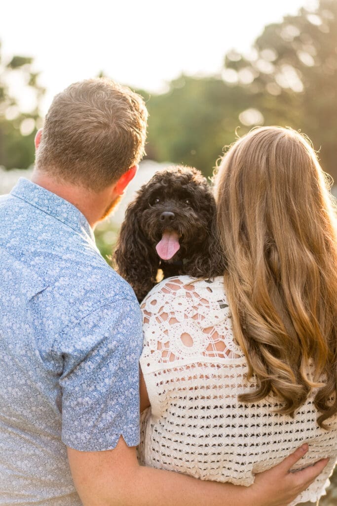 Golden hour engagement photos at the Columbus Park of Roses with their dog.