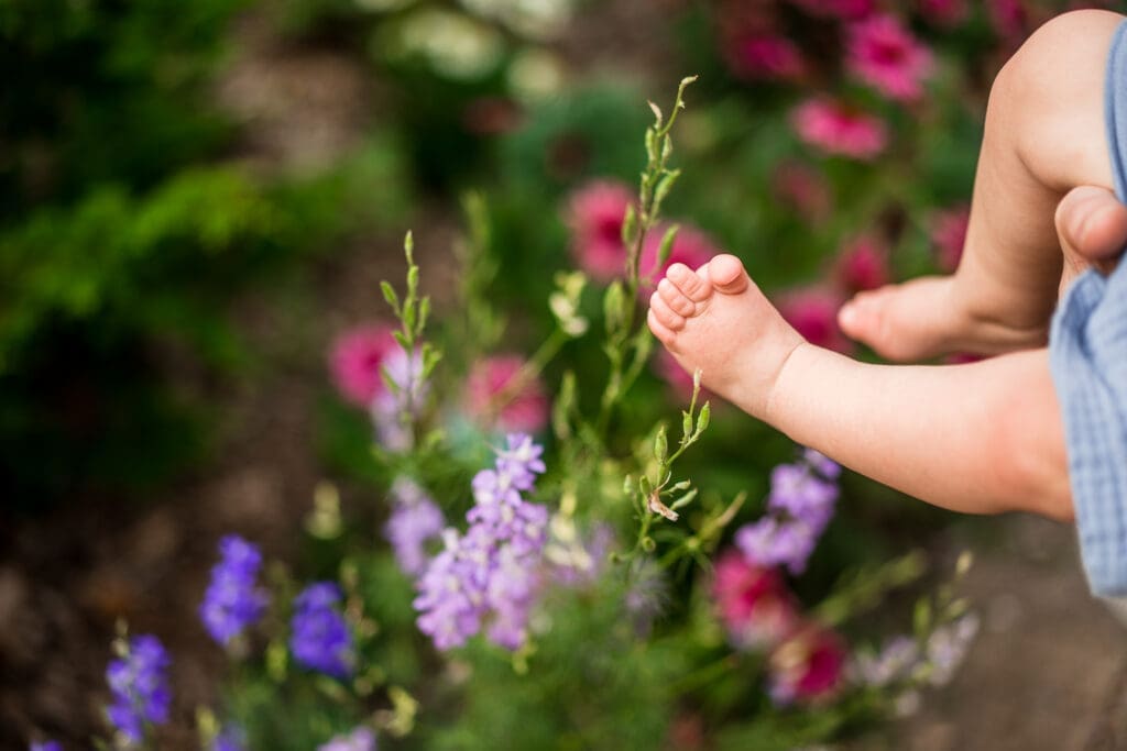 Summer family photos at the Columbus Park of Roses