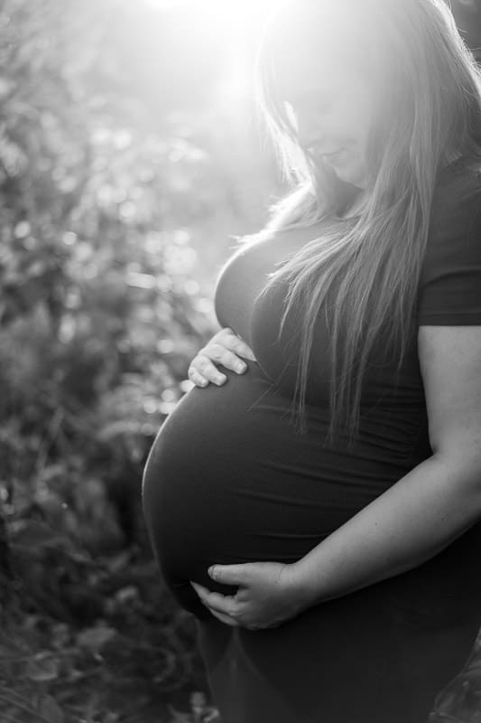 Golden hour maternity photos in a flower field in Pataskala, Ohio.