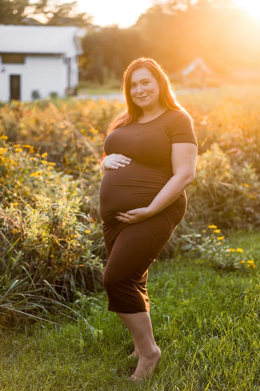 Golden hour maternity photos in a flower field in Pataskala, Ohio.